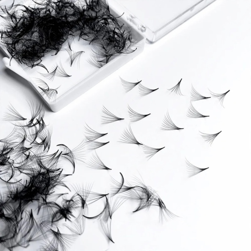 500 Fächer, handgefertigt, los – Eyelash Extension Medium Bewertung und Preis